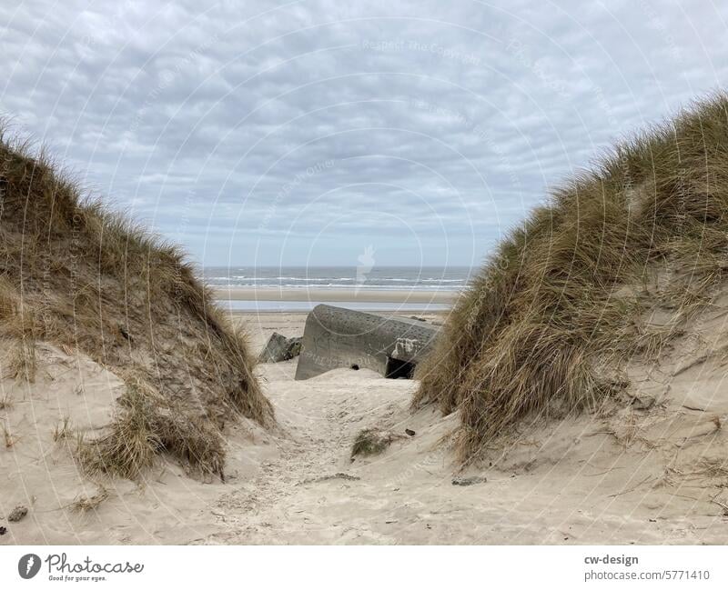 Bunker on the coast of Denmark Dugout Exterior shot Colour photo