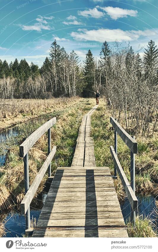 es ist nie zu spät | brücken zu bauen Moor Brücke Steg wandern Naturschutzgebiet Landschaft Wasser Erholung Himmel Holzbrücke Allgäu