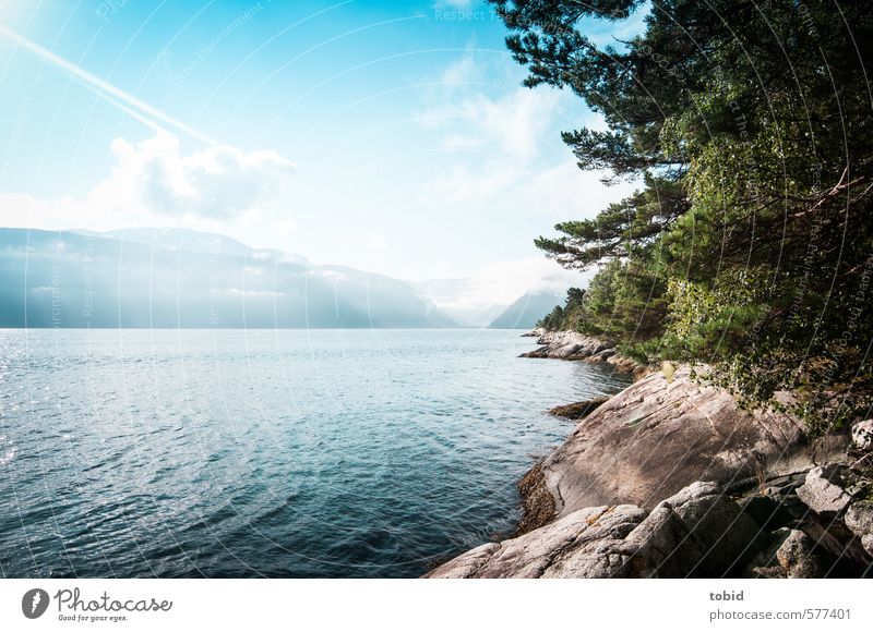 Day at the sea Vacation & Travel Far-off places Freedom Summer Sun Ocean Waves Mountain Nature Landscape Animal Water Sky Clouds Horizon Sunlight