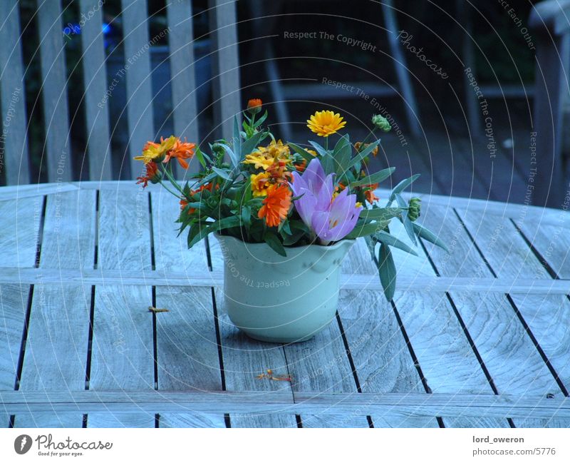 flower pot Flowerpot Table Pot Exterior shot