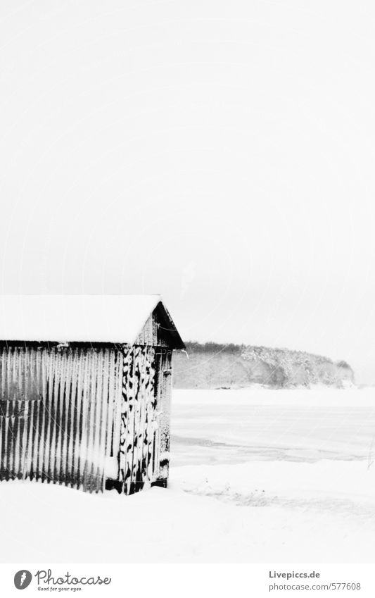 Wreechen/Rügen Landscape Winter Ice Frost Snow Coast Gray Black White Black & white photo Deserted Day Contrast