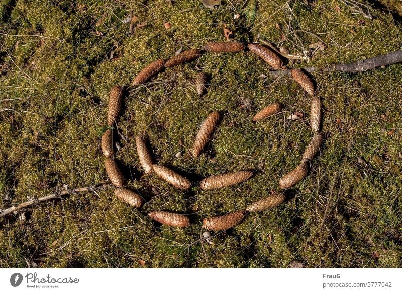 I am happy, and you should be too |emotional intelligence Woodground Moss Fir cone Cone face cheerful Smiling Contagious Forest Nature Beautiful weather