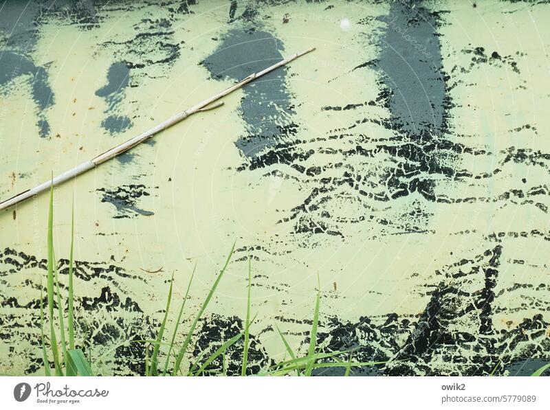 Distant mountains Metal container Surface Surface structure stalks Close-up Plant silent Colour Ink residues flaking paint blades of grass Drawing Illusion