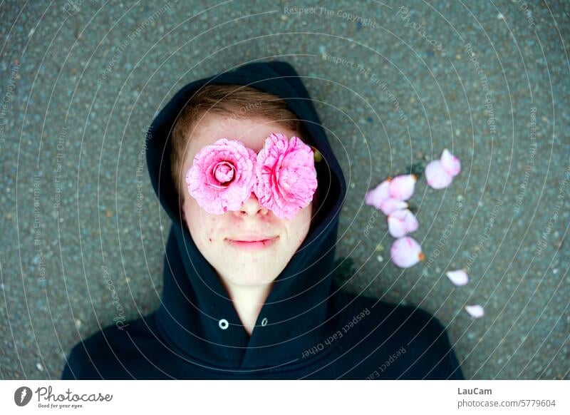 rosy prospects flowers roses Roses on the eyes outlook Looking blossoms petals Pink Blossom Flower Spring confident