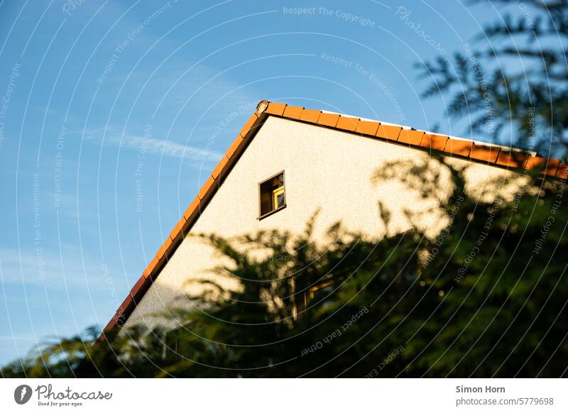 Roof gable in the light of a sunset behind a dark hedge Gable Sunset Mood lighting evening light tranquillity evening mood Light Evening Evening sun Calm
