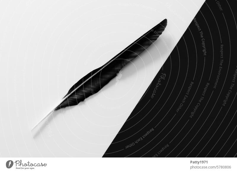 Crow feather on a diagonally divided, black and white background with plenty of space for text Feather Black Divided Diagonal Minimalistic Abstract Graphic