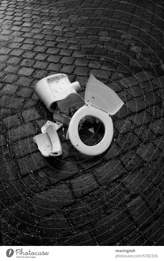 Broken toilet bowl on the street Toilet corrupted shattered Street Cobblestones Cobblestone Road Black & white photo black-and-white nobody Deserted