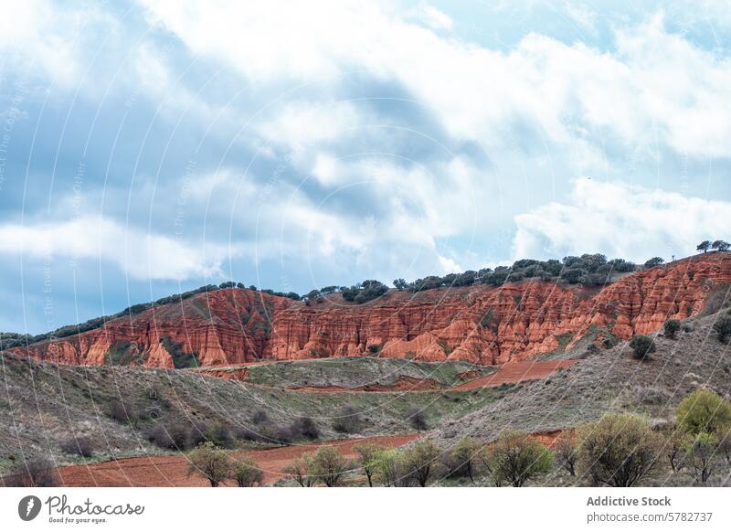 Red rock formations and lush greenery under cloudy sky landscape nature red geological erosion sedimentary cliff hill valley outdoor scenic beauty environment