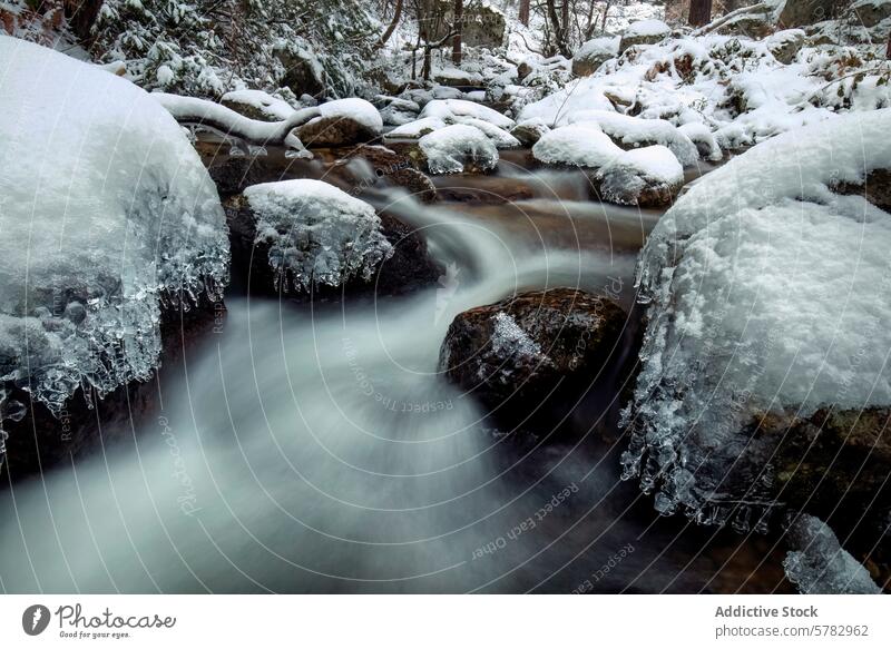 Winter wonderland at Penalara stream with frozen edges winter snow ice landscape penalara serene nature flow water cold tranquility scenery wilderness outdoors