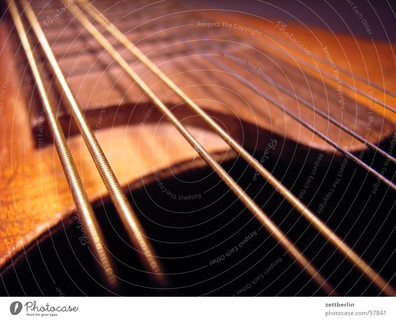 mandolin Mandolin Plucked instrument String instrument Folklore music Musical instrument string Song Concert folk song music school