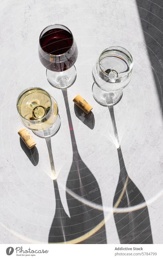 Elegant wine glasses casting shadows on a sunny day sunlight red white empty minimalistic elegant design texture surface beverage alcohol drink table tasting