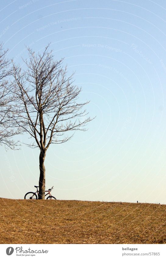 abandoned bicycle Bicycle Loneliness Meadow Exterior shot Tree Winter Calm Grass Yellow Horizon Hill Light Cold Gloomy Sky Blue Bright Branch no sheets