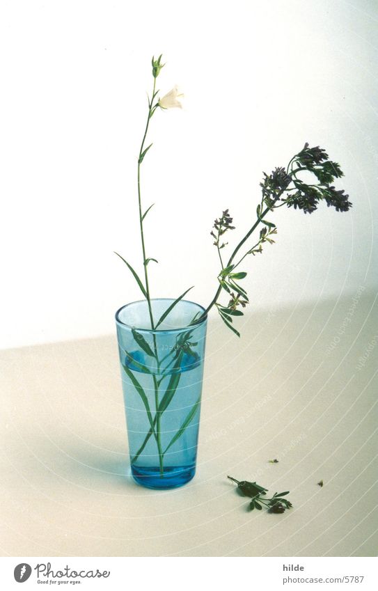 blue vase Vase Flower Things Blue Glass