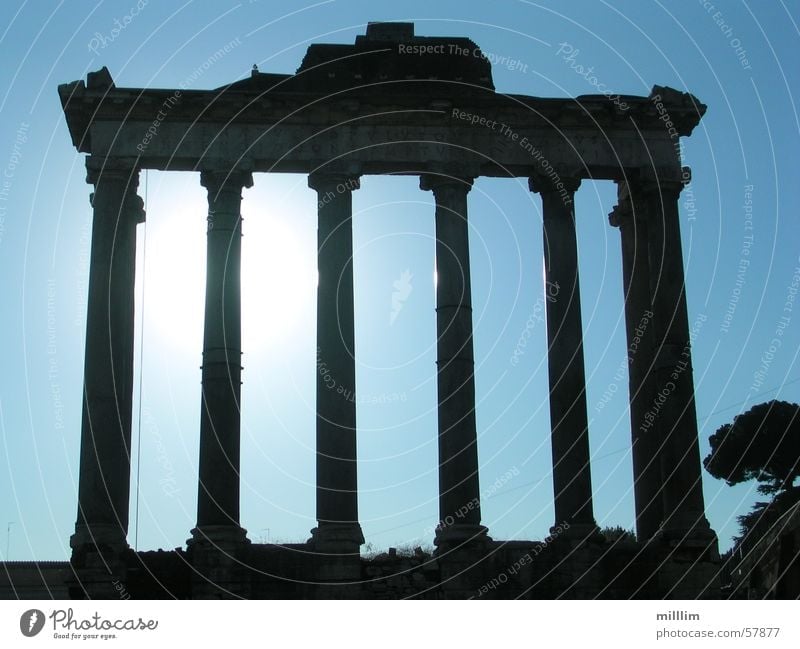 Roman Forum Line Shadow Light Blue Black White Dark Rome Column Forum Romano Römerberg Ancient Old Contrast Italy Capital city Europe Monumental Might Massive