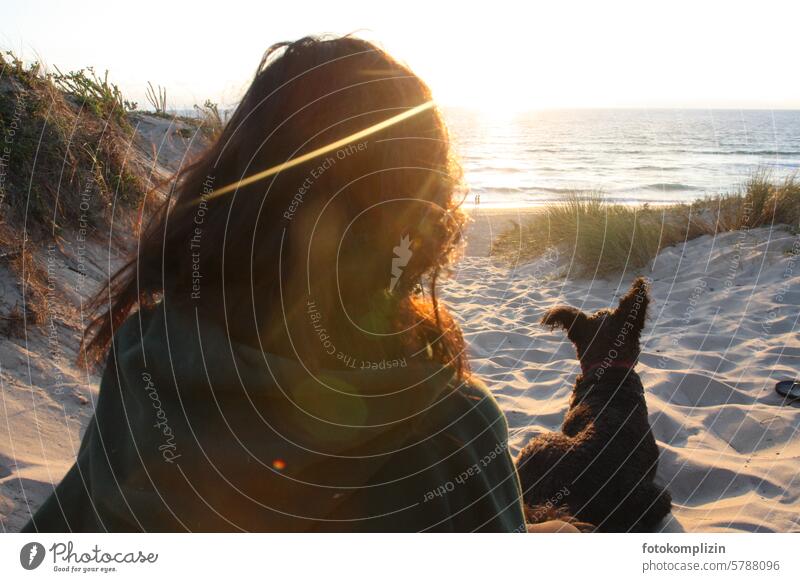 Woman and dog looking out to sea Dog Ocean Beach Sunset Longing Far-off places Freedom Water Wanderlust Nature Friendship at the same time togetherness