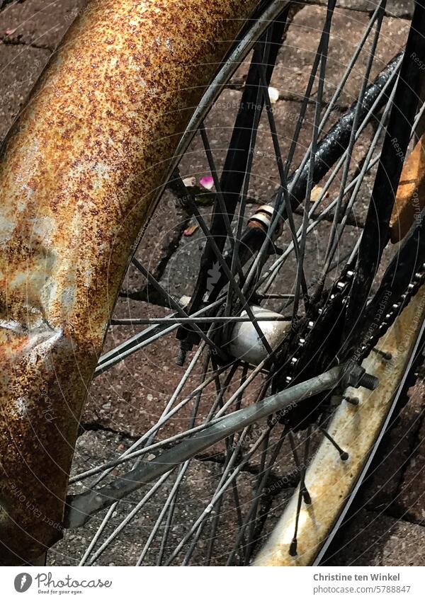 pretty worn out | old bike, rusty and dented Bicycle Old Authentic Detail Rust Corrosion Cycling Wheel Means of transport Mobility Subdued colour Bicycle tyre