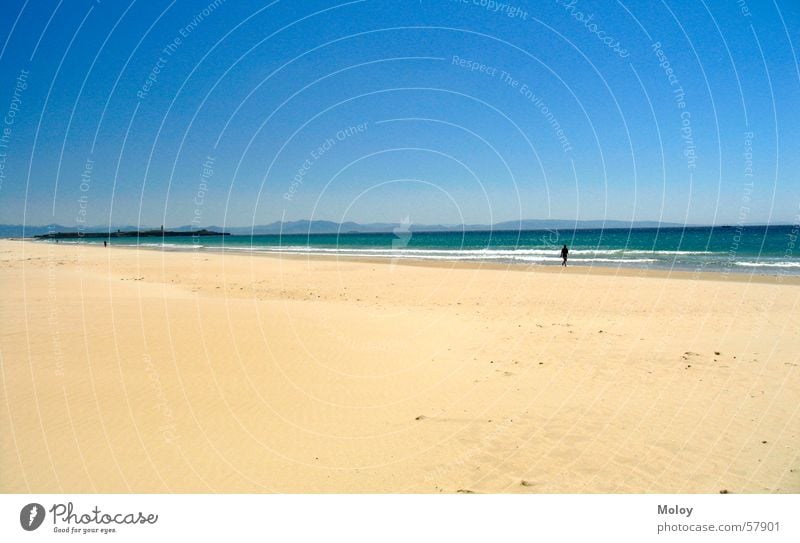 LonelyMan Beach Atlantic Ocean To go for a walk Spain Andalucia Tarifa Summer Vacation & Travel Far-off places Sky Sand Wind