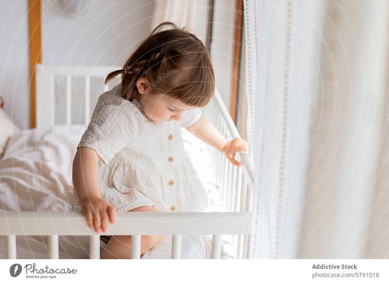 Toddler exploring the world from her crib toddler curiosity child exploration bedroom infant girl dress white safety rail indoor home childhood discovery baby
