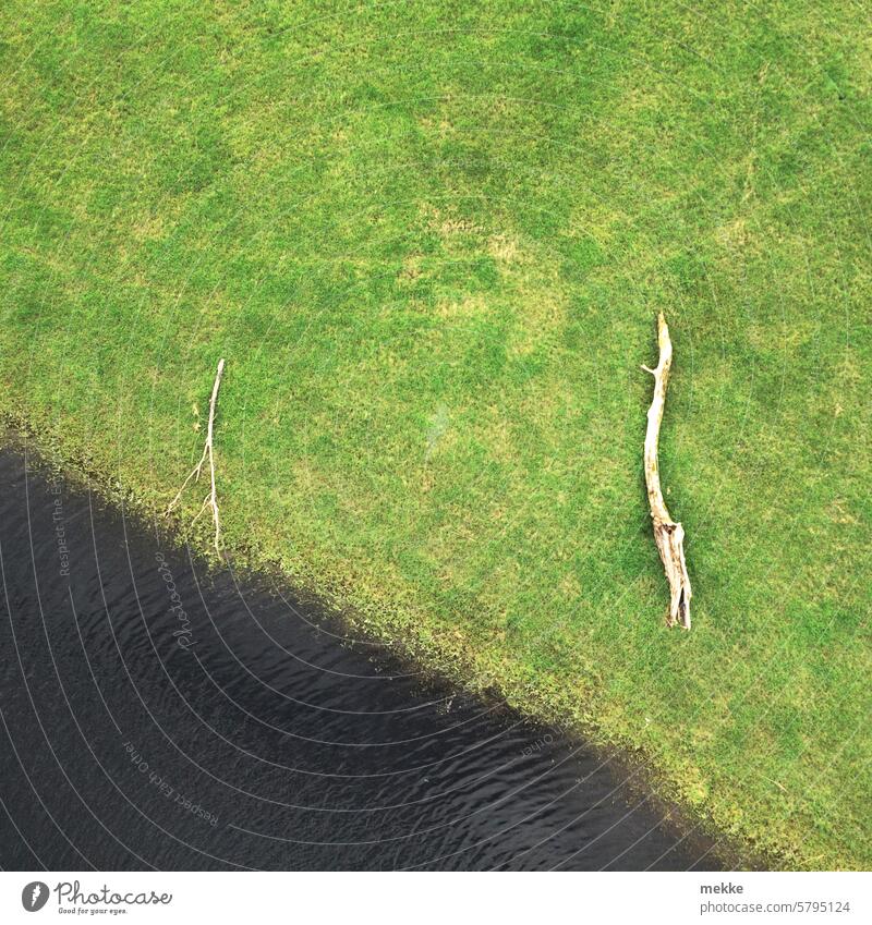 Driftwood during a break Wood River Water bank Tree trunk Nature Lake Grass Meadow River bank Lie Stranded Dry on the dry country Landing drift Log Green