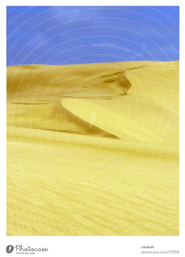 sand sculpture Sky Yellow New Zealand Sand landscape Desert blue Dune