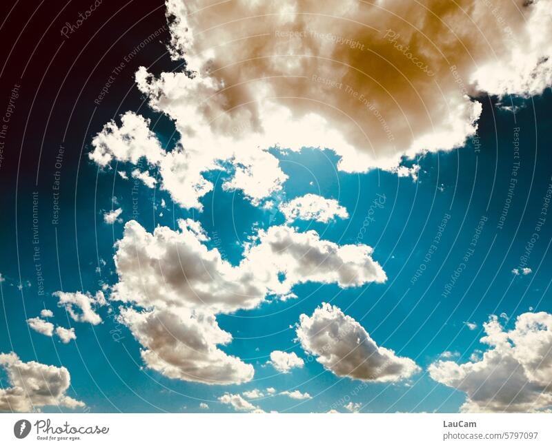 Sky full of clouds Clouds Blue sky Cloud formation White blue-white Day Beautiful weather Clouds in the sky Sunlight Cloud pattern Cloud cover Brilliant