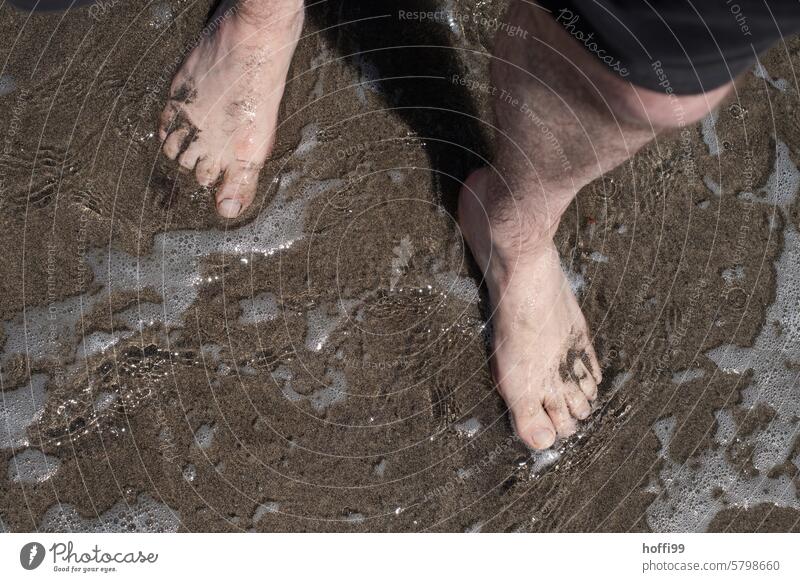 Feet in shallow water on the beach Barefoot feet Legs Toes Ocean washed round Summer spray water Waves Sand Stand Beach Skin Water White crest Relaxation