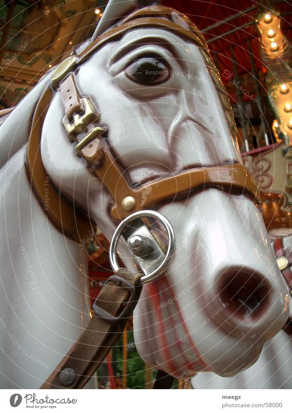 a horse with no name Horse Toys Glittering Carousel Crockery Halter Leisure and hobbies Exterior shot Joy Macro (Extreme close-up) Fairs & Carnivals