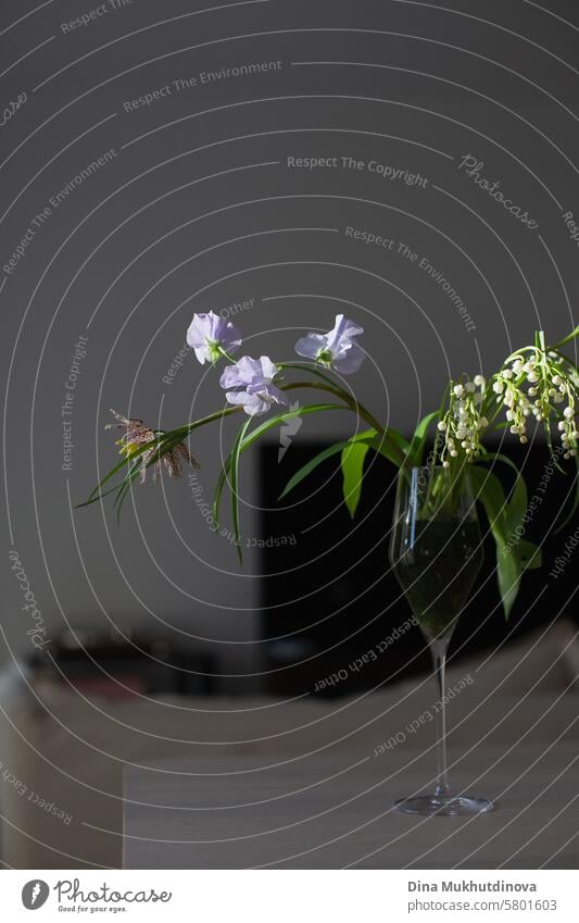 purple lilac color flowers on dark background aesthetic floral image blossom Violet romantic Nature Spring Fragrance Lilac lilac blossom fragrant Blossoming