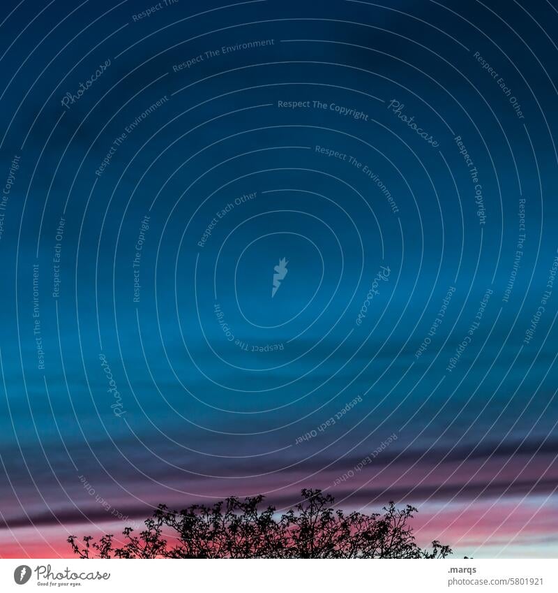 one evening tranquillity Change in the weather Meteorology Climate Sky Dark Weather Smear Dusk Clouds Evening Moody Elements Climate change Nature Blue