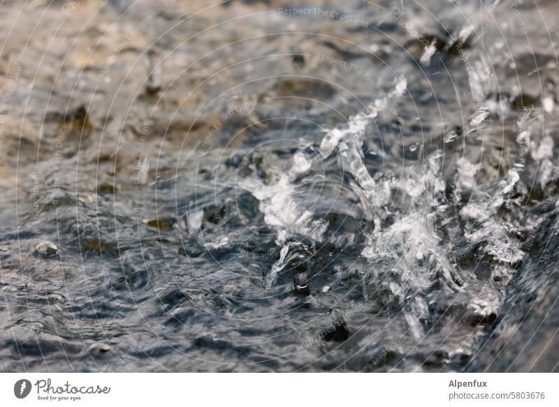 proverbial storm in a teacup | Glückauf! Water Gale Deluge Wet Weather Flood Rain Drops of water inundation turbulent water High tide choppy sea Climate change