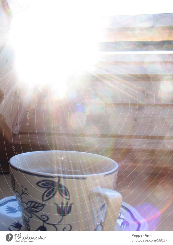 coffee break Light Cozy Coffee Sun Energy industry Calm indoor photo against the sun