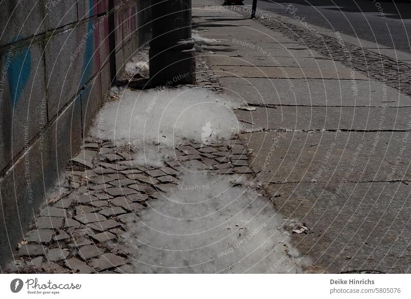 Poplar wool covers the sidewalk like snow. Poplar blossom Cardboard fluff tree blossom Sidewalks Cobblestones White urban Spring May pappelsamen Town