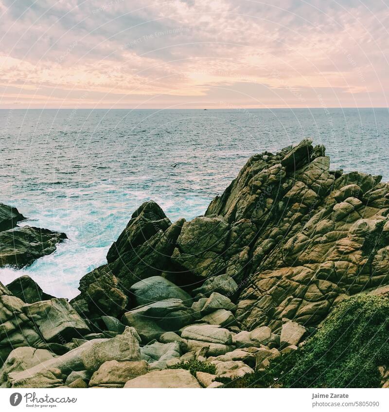 Stones on the coast of Viña del Mar beach stone tock viña del mar sea sky clouds lanscape plant life Lifestyle