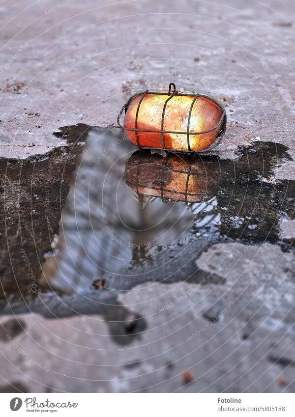 An old lamp behind bars lies on the dirty floor by a puddle and is reflected in it. Lamp Grating Light Lighting Bright cellar lamp Glass Metal Ground Puddle