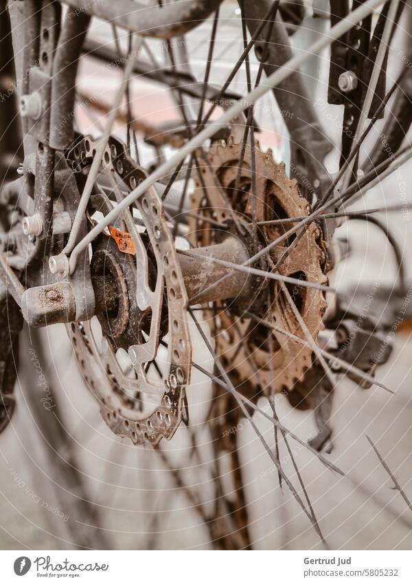 Details of a rusty bicycle Bicycle Cycling Spokes Rust Environment environmental protection detail Close-up