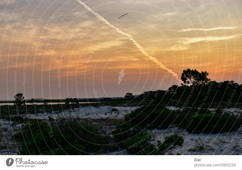 Sunset on a beach with vegetation sunset sand Ocean Evening dunes coast grass