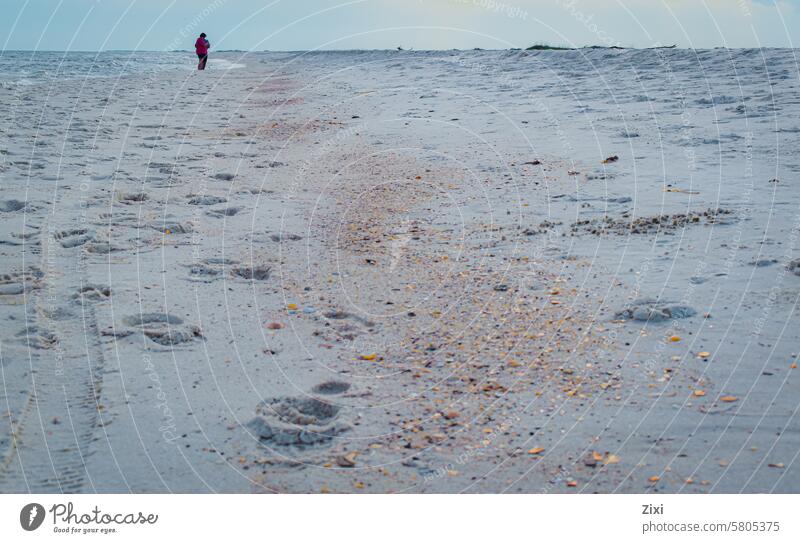 Person walking on the beach human Walking Beach Ocean Human being Coast blue