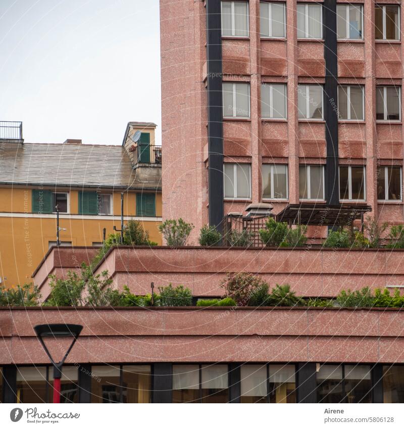 urban diversity Facade Town green Balcony Window City trip Red Italy Downtown Architecture House (Residential Structure) Brown Housefront Facades Glazed facade