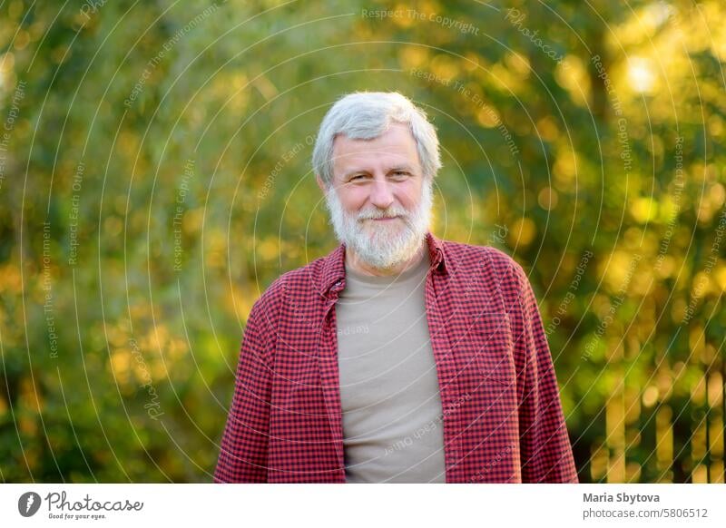 Portrait of mature handsome gardener on sunny summer day. Grey hair senior man farmer is on his own garden. portrait fruit vegetable sustainable people male