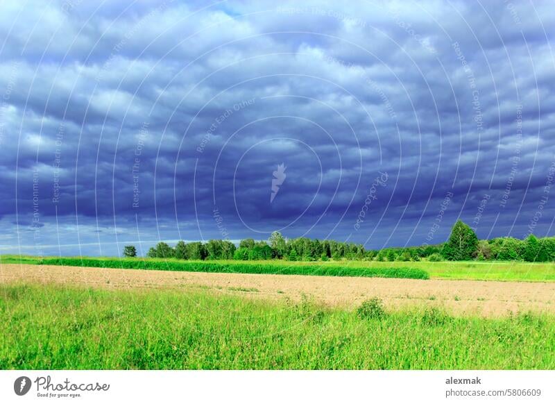 landscape with dark thundercloud clouds under the forest rain rainy storm-cloud fallow heaven sky view rural panorama park country tree trees beautiful nature