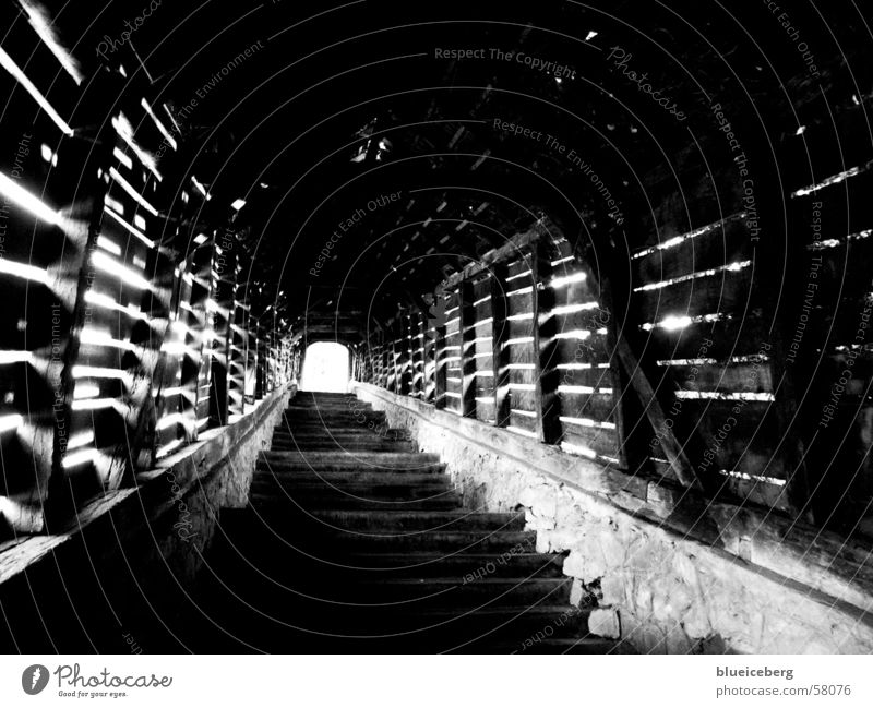 Stairs to the castle in Sighisoara Black White stairs up Romania Castle