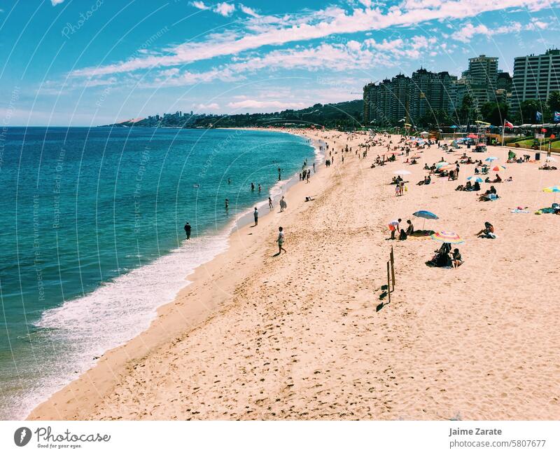 Much of the coast of Viña del Mar beach people building sea life summer sun blue enjoy land