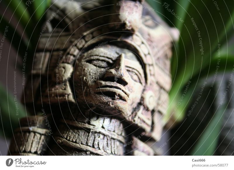 Tomb Raider Statue Virgin forest Inca Maya Excavation Archeology Culture Go under Forget Doomed Art Indiana tomb raider lara croft Jones Mexico
