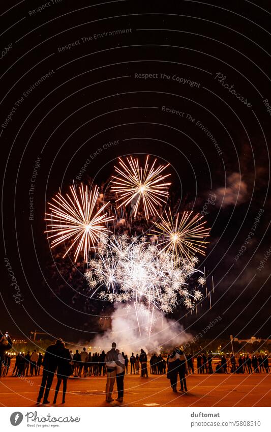 fireworks Firecracker Night Spark New Year's Eve Feasts & Celebrations Pyrotechnics Illuminate Light (Natural Phenomenon) Night sky Sky Joy Event Entertainment