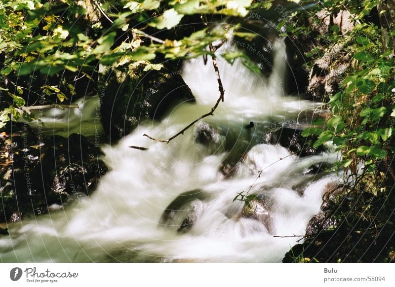 by the rushing brook.... Brook Exterior shot Long exposure Hissing Mountain stream Water Waterfall Nature White crest Primordial Wild River water