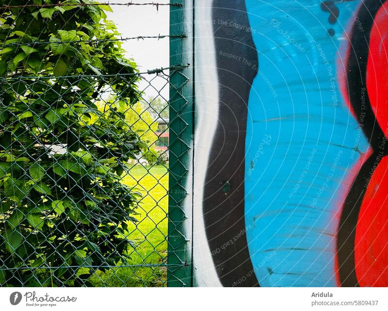 Garden fence with barbed wire in front of beech hedge next to graffiti wall Fence Beech tree Border Barbed wire Graffiti Wall (building) Lawn Arrangement Green