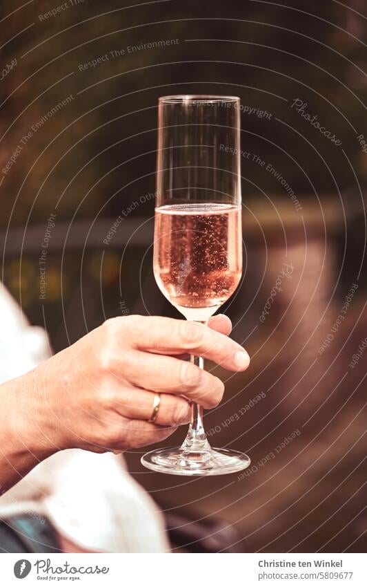 Here's to you, Photocase! photocase Goodbye Champagne glass Hand Toast Thank you. I'll take care of it. Sparkling wine celebrations Alcoholic drinks Beverage