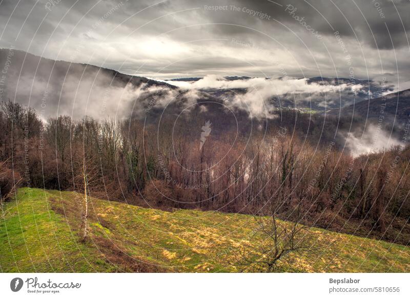 Slovenian mountains covered by fog woods hill winter cold forest trees autumn landscape white snowy nature panorama scenic foliage green season outdoor