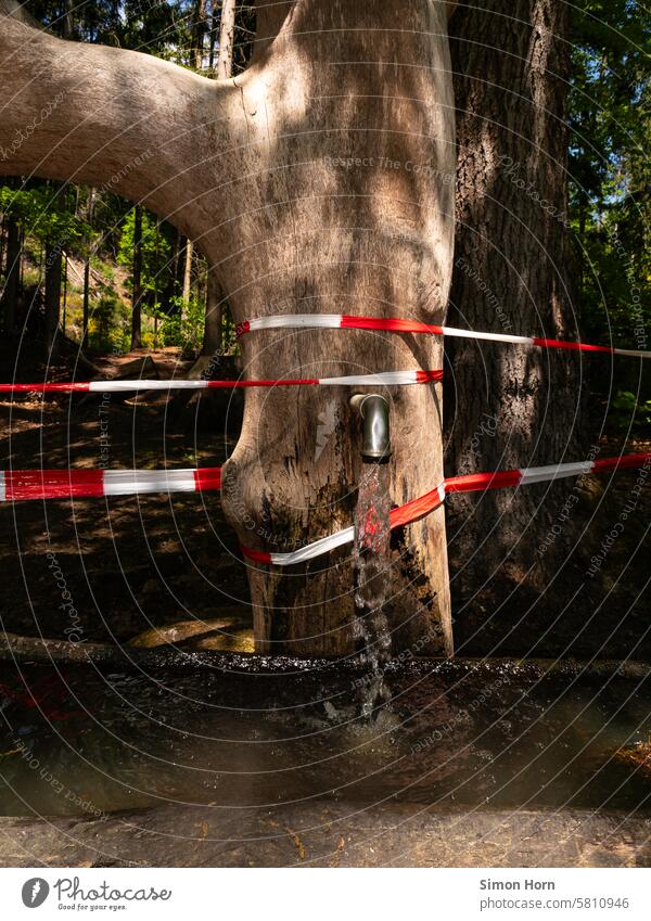 Well with spring water in the forest, barrier tape signals the need for environmental protection Source Water Forest Spring water Bubbling Refreshment