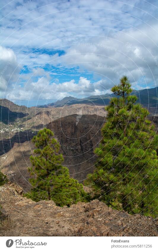 On the mountains on the island of Gran Ganaria with pine trees summer day Parque Natural de Pilancones nature panorama Fatega holiday Blue Spain